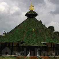 Tấm Ngói Sinh Thái